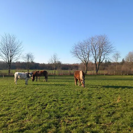 Vakantiehuis Klein Achterhoek Doetinchem